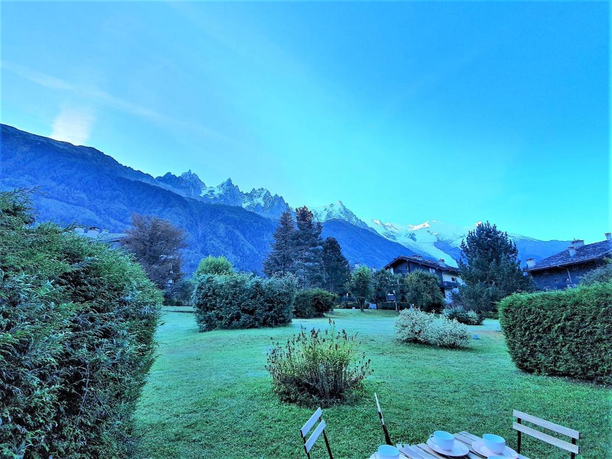 Chamonix Appartement Vue Mont Blanc Avec Jardin Dış mekan fotoğraf
