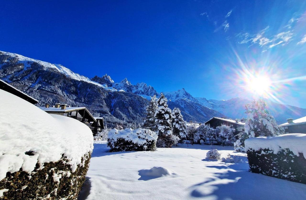 Chamonix Appartement Vue Mont Blanc Avec Jardin Dış mekan fotoğraf